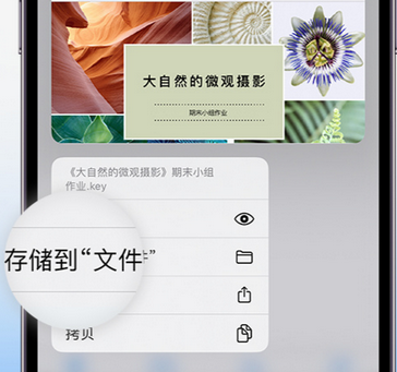 江华apple维修中心分享iPhone文件应用中存储和找到下载文件