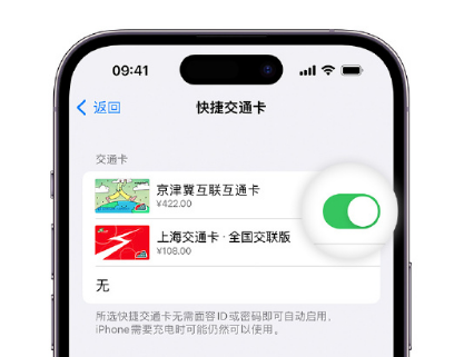 江华apple维修点分享iPhone上更换Apple Pay快捷交通卡手绘卡面 