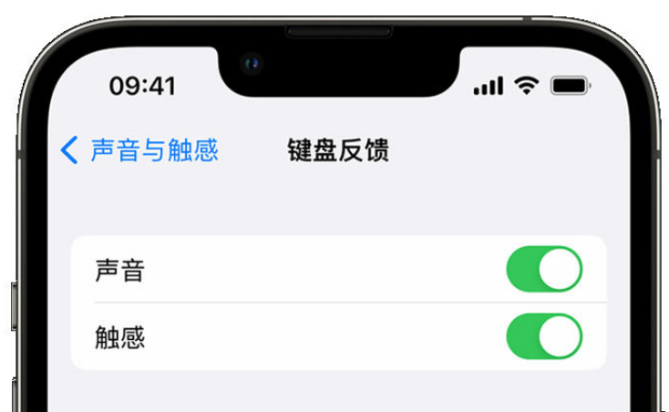 江华苹果手机维修分享iPhone 14触感键盘使用方法 