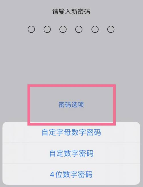 江华苹果14维修分享iPhone 14plus设置密码的方法 