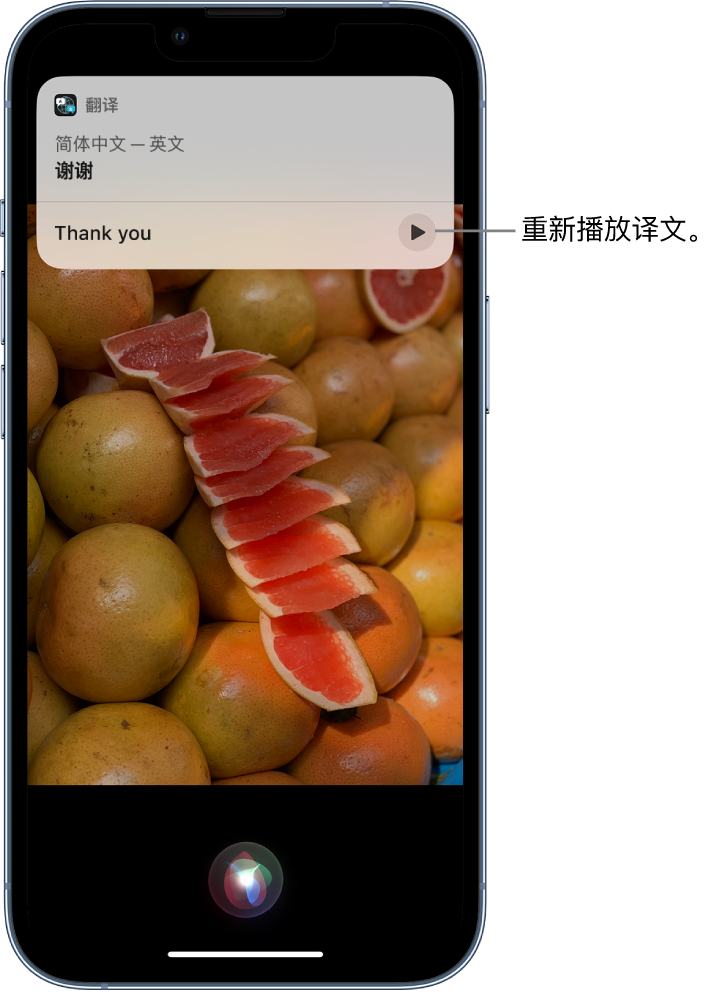 江华苹果14维修分享 iPhone 14 机型中使用 Siri：了解 Siri 能帮你做什么 