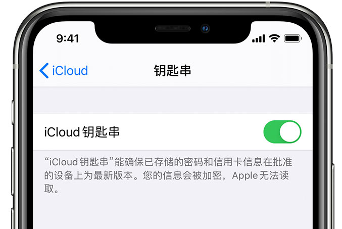 江华苹果手机维修分享在 iPhone 上开启 iCloud 钥匙串之后会储存哪些信息 