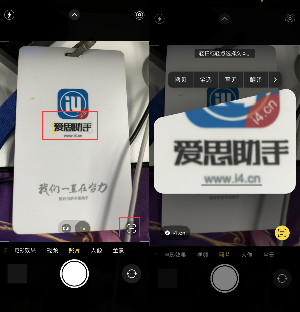 江华苹果手机维修分享升级iOS 16后如何通过相机翻译文本 