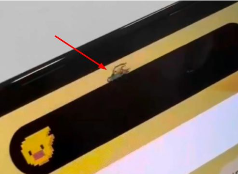 江华苹果14维修分享iPhone 14 Pro Max灵动岛怎么养宠物 