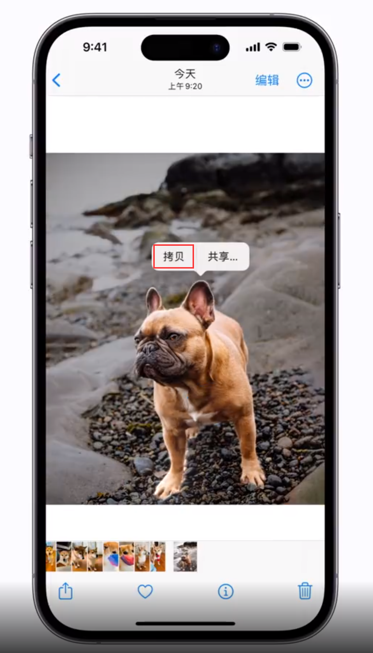 江华苹果手机维修分享 iOS 16 自带一键抠图功能 