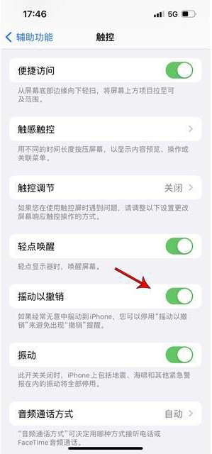 江华苹果手机维修分享iPhone手机如何设置摇一摇删除文字 