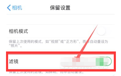 江华苹果13维修分享iPhone13拍照有绿点是怎么回事 